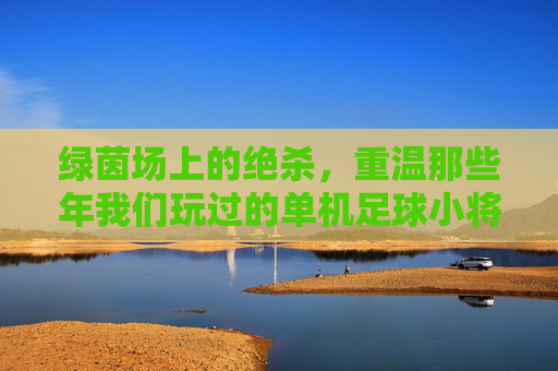绿茵场上的绝杀，重温那些年我们玩过的单机足球小将游戏