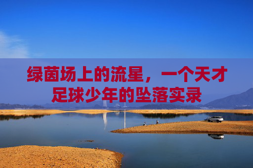 绿茵场上的流星，一个天才足球少年的坠落实录