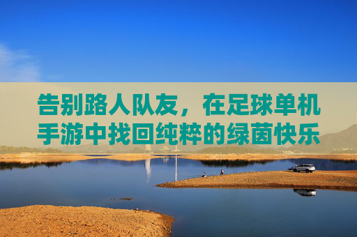 告别路人队友，在足球单机手游中找回纯粹的绿茵快乐