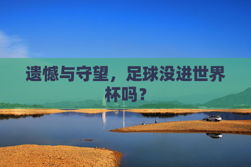 遗憾与守望，足球没进世界杯吗？