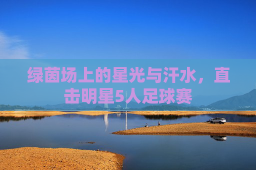 绿茵场上的星光与汗水，直击明星5人足球赛