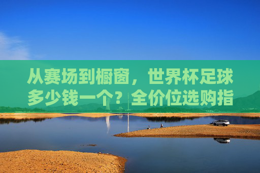 从赛场到橱窗，世界杯足球多少钱一个？全价位选购指南