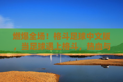 燃爆全场！格斗足球中文版，当足球遇上格斗，热血与激情的完美碰撞