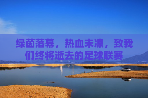 绿茵落幕，热血未凉，致我们终将逝去的足球联赛