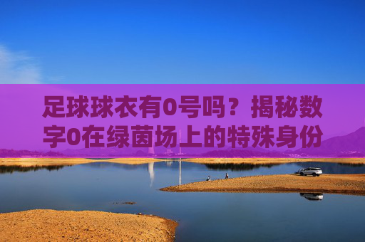 足球球衣有0号吗？揭秘数字0在绿茵场上的特殊身份