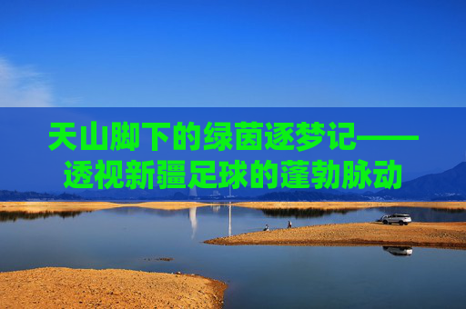 天山脚下的绿茵逐梦记——透视新疆足球的蓬勃脉动