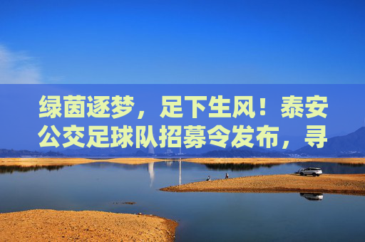 绿茵逐梦，足下生风！泰安公交足球队招募令发布，寻找热血的你！