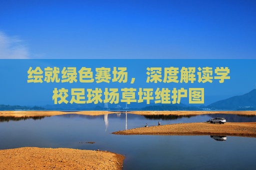绘就绿色赛场，深度解读学校足球场草坪维护图