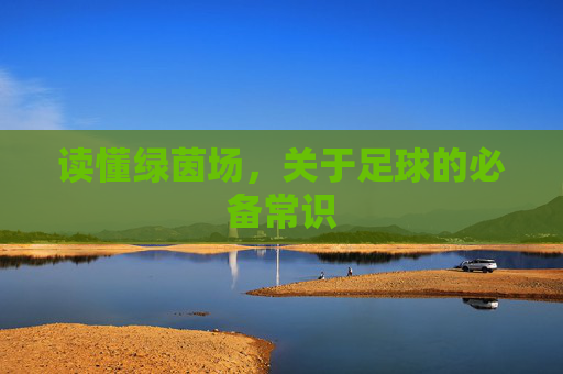 读懂绿茵场，关于足球的必备常识