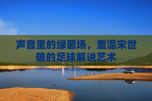 声音里的绿茵场，重温宋世雄的足球解说艺术