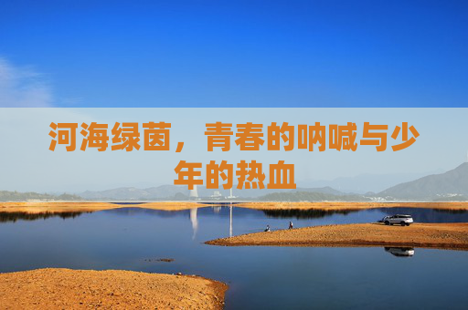 河海绿茵，青春的呐喊与少年的热血