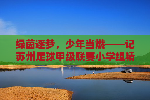 绿茵逐梦，少年当燃——记苏州足球甲级联赛小学组精彩瞬间