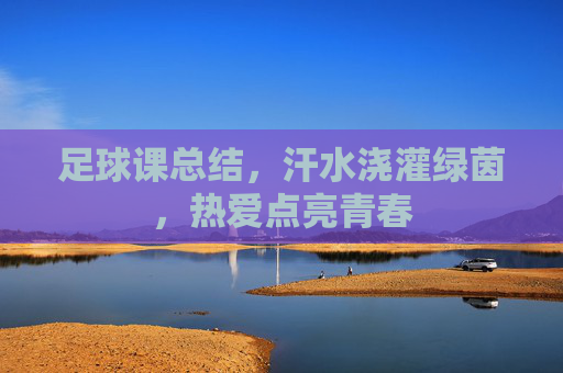 足球课总结，汗水浇灌绿茵，热爱点亮青春