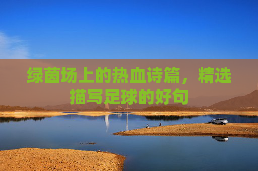绿茵场上的热血诗篇，精选描写足球的好句