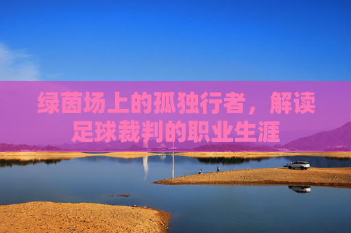 绿茵场上的孤独行者，解读足球裁判的职业生涯