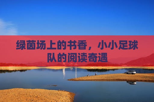 绿茵场上的书香，小小足球队的阅读奇遇