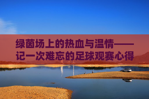 绿茵场上的热血与温情——记一次难忘的足球观赛心得