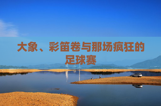 大象、彩笛卷与那场疯狂的足球赛