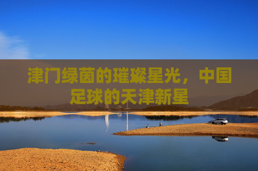 津门绿茵的璀璨星光，中国足球的天津新星