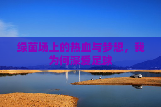 绿茵场上的热血与梦想，我为何深爱足球