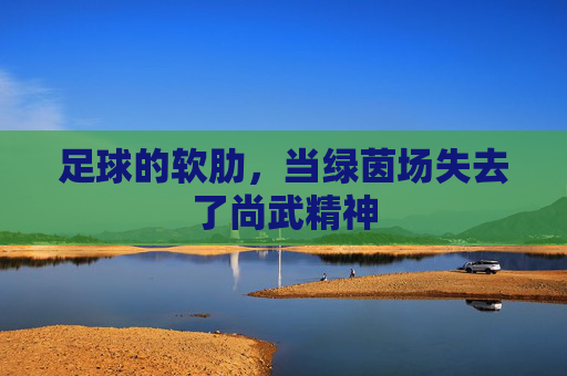 足球的软肋，当绿茵场失去了尚武精神