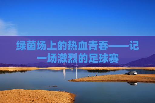 绿茵场上的热血青春——记一场激烈的足球赛