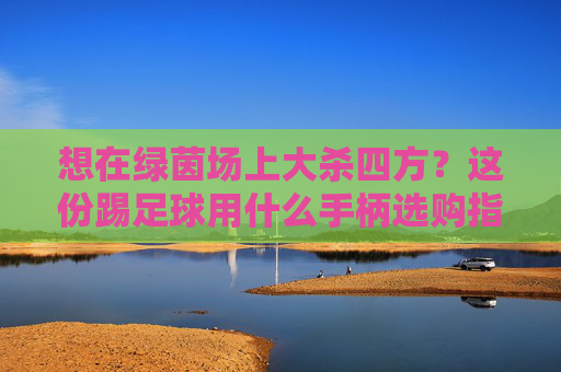 想在绿茵场上大杀四方？这份踢足球用什么手柄选购指南请收好