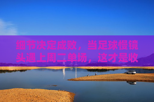 细节决定成败，当足球慢镜头遇上周二单场，这才是收米密码