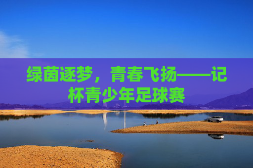 绿茵逐梦，青春飞扬——记杯青少年足球赛