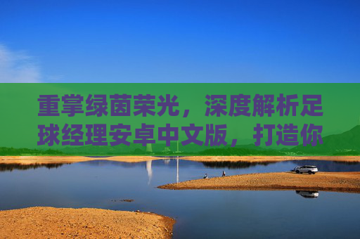 重掌绿茵荣光，深度解析足球经理安卓中文版，打造你的豪门王朝