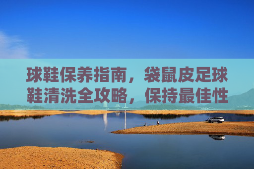 球鞋保养指南，袋鼠皮足球鞋清洗全攻略，保持最佳性能