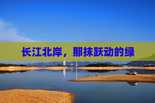长江北岸，那抹跃动的绿
