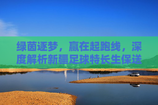 绿茵逐梦，赢在起跑线，深度解析新疆足球特长生保送初中的机遇与路径