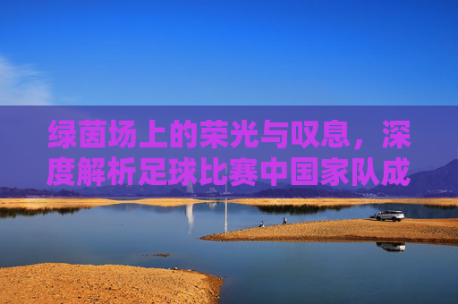 绿茵场上的荣光与叹息，深度解析足球比赛中国家队成绩背后的逻辑