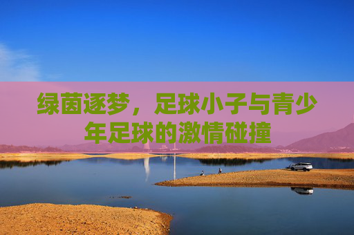 绿茵逐梦，足球小子与青少年足球的激情碰撞