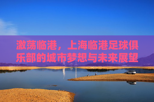 激荡临港，上海临港足球俱乐部的城市梦想与未来展望