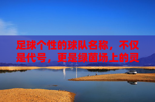 足球个性的球队名称，不仅是代号，更是绿茵场上的灵魂图腾