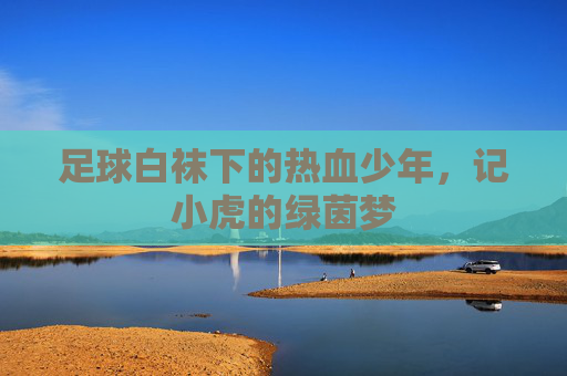 足球白袜下的热血少年，记小虎的绿茵梦