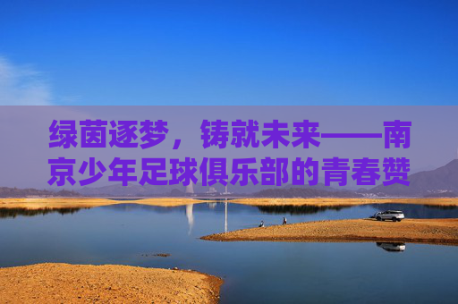 绿茵逐梦，铸就未来——南京少年足球俱乐部的青春赞歌