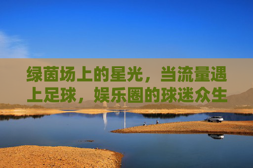 绿茵场上的星光，当流量遇上足球，娱乐圈的球迷众生相