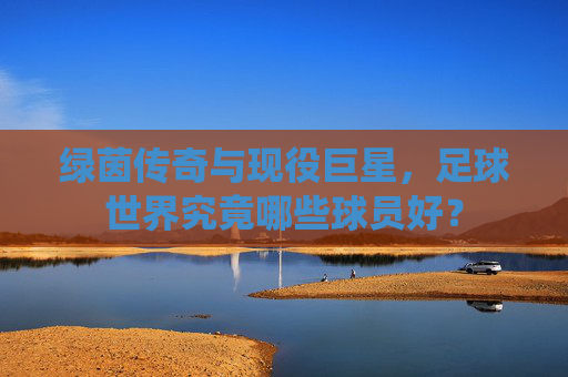 绿茵传奇与现役巨星，足球世界究竟哪些球员好？