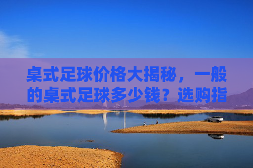 桌式足球价格大揭秘，一般的桌式足球多少钱？选购指南全解析