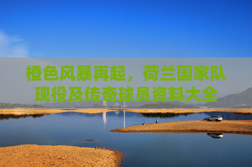 橙色风暴再起，荷兰国家队现役及传奇球员资料大全