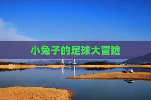 小兔子的足球大冒险