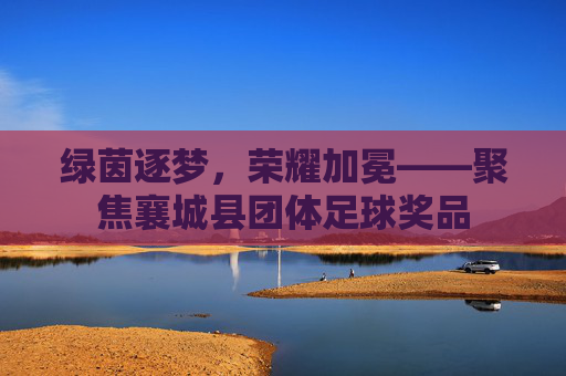 绿茵逐梦，荣耀加冕——聚焦襄城县团体足球奖品