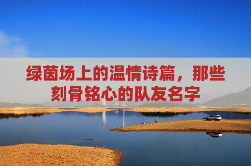 绿茵场上的温情诗篇，那些刻骨铭心的队友名字