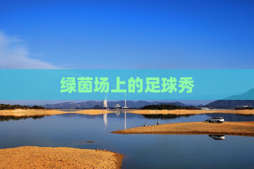 绿茵场上的足球秀