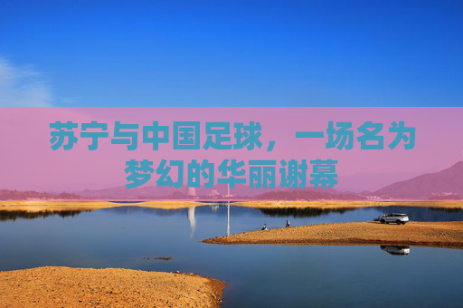 苏宁与中国足球，一场名为梦幻的华丽谢幕