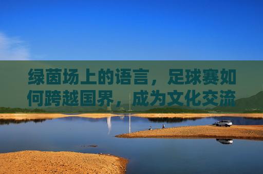 绿茵场上的语言，足球赛如何跨越国界，成为文化交流的桥梁