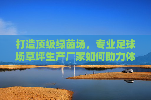 打造顶级绿茵场，专业足球场草坪生产厂家如何助力体育事业发展